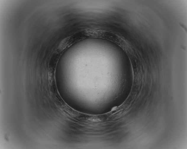 X0000096440749200801311428