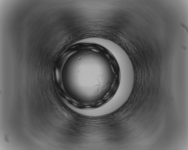 X0000096440750200801311428