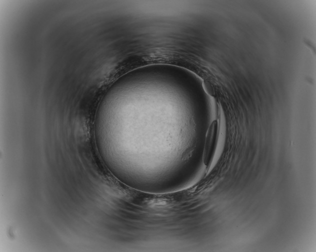 X0000096440751200801311428