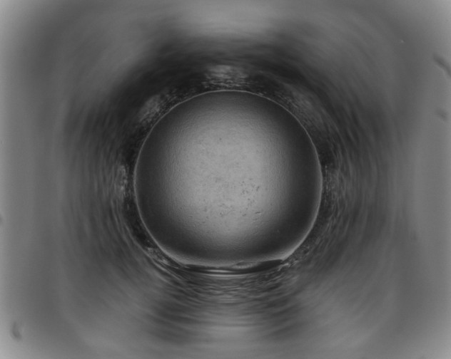 X0000096440752200801311428