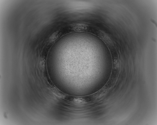 X0000096440753200801311428