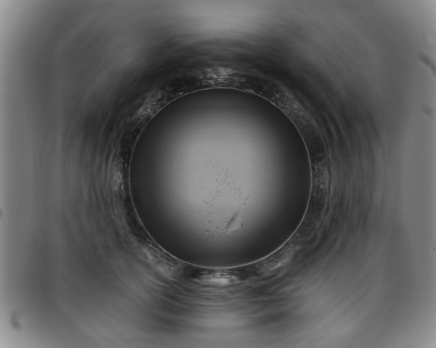 X0000096440754200801311428