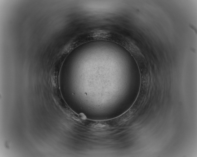 X0000096440755200801311428