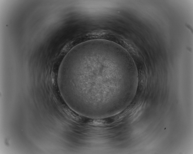 X0000096440758200801311428