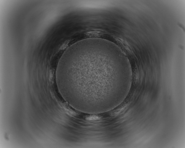 X0000096440759200801311428