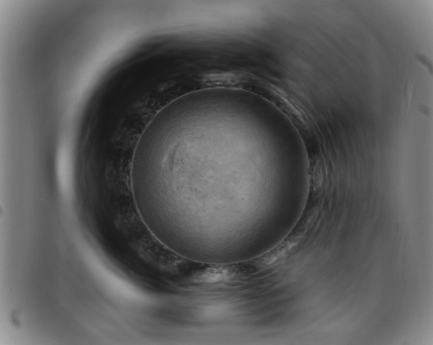 X0000096440764200801311428