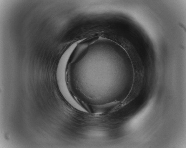 X0000096440767200801311429