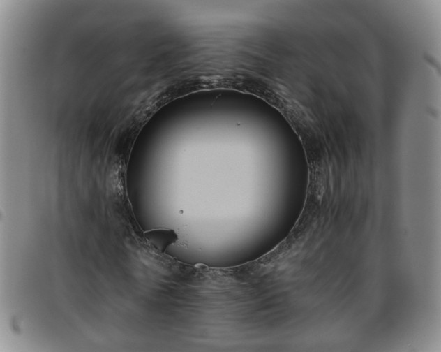 X0000096440770200801311428