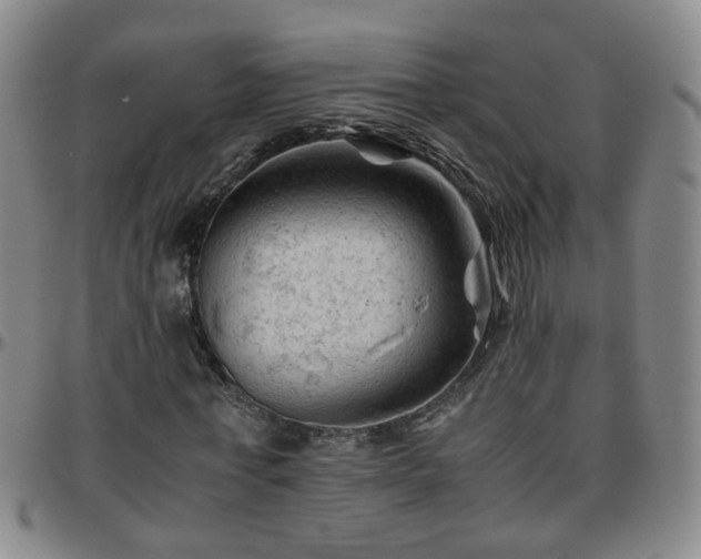 X0000096440771200801311428