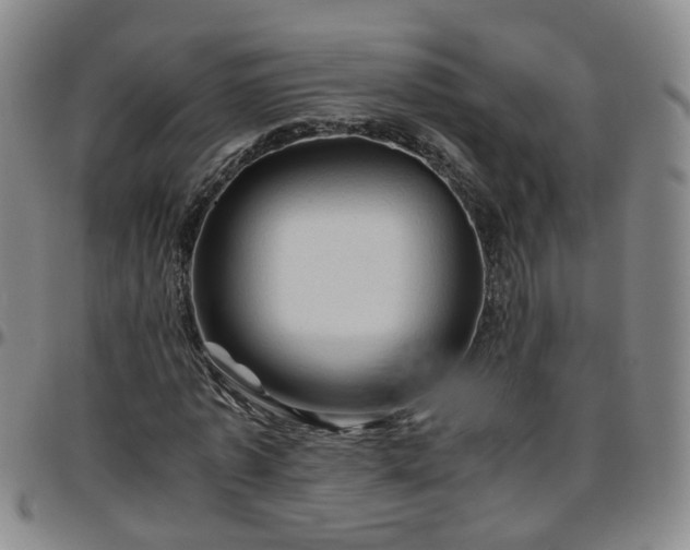 X0000096440773200801311428