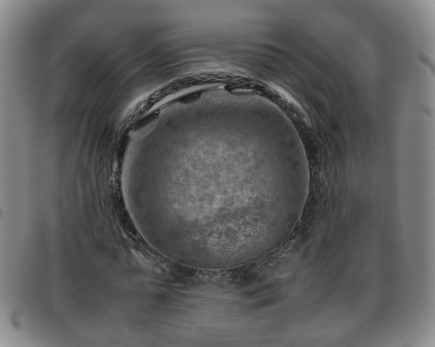 X0000096440775200801311428