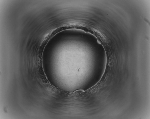 X0000096440776200801311428