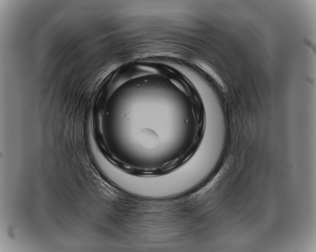 X0000096440777200801311428