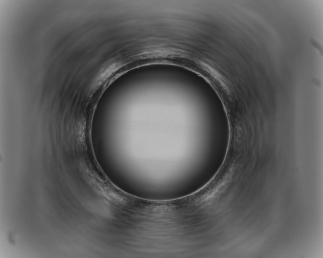 X0000096440778200801311428