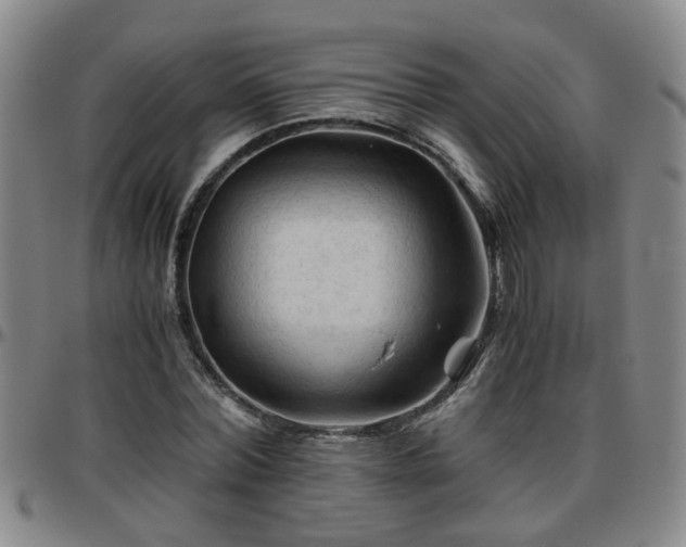 X0000096440780200801311428