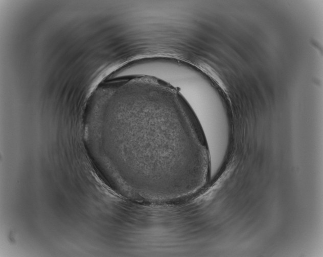 X0000096440781200801311428