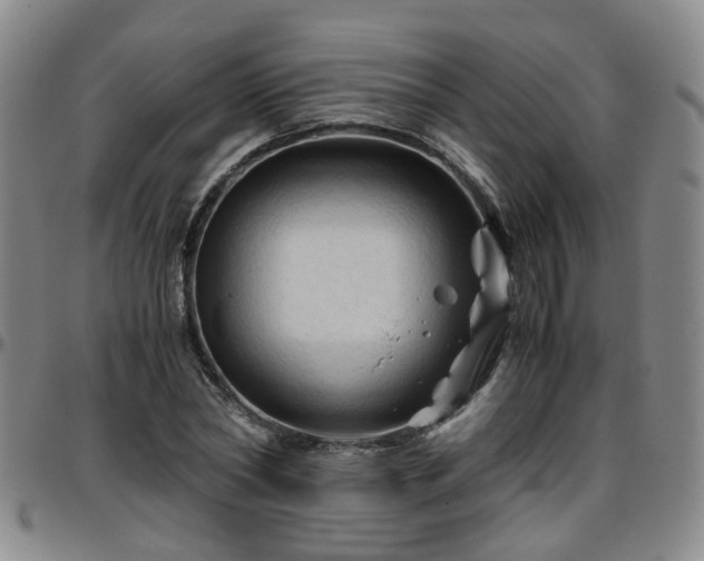 X0000096440782200801311428