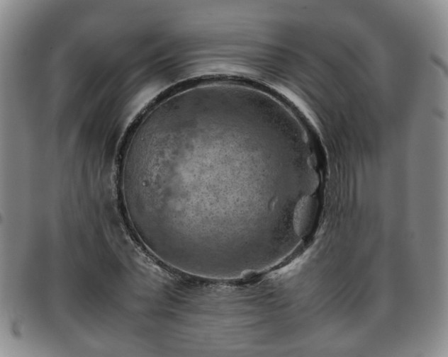 X0000096440783200801311428