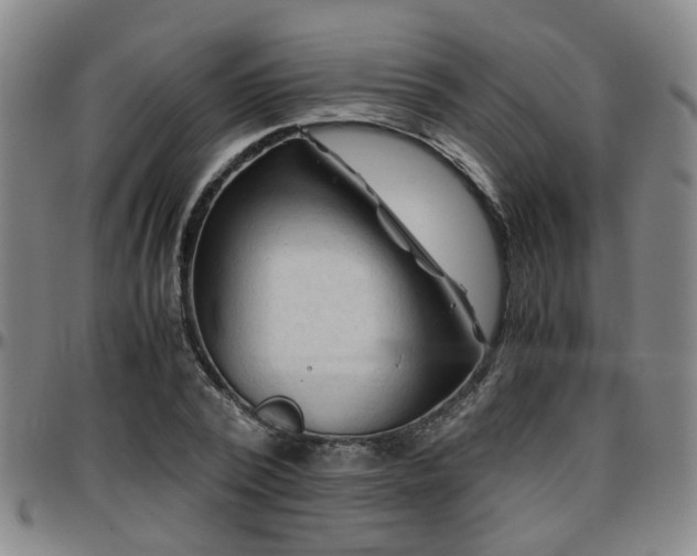 X0000096440784200801311428