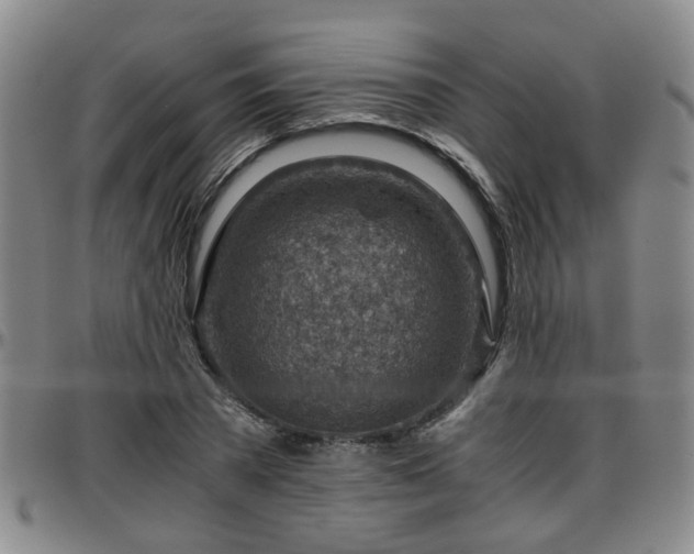 X0000096440785200801311428