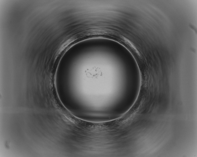 X0000096440786200801311428