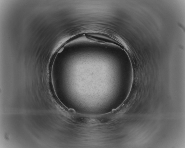 X0000096440787200801311428