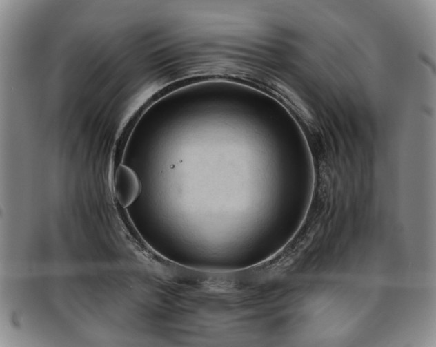 X0000096440788200801311428