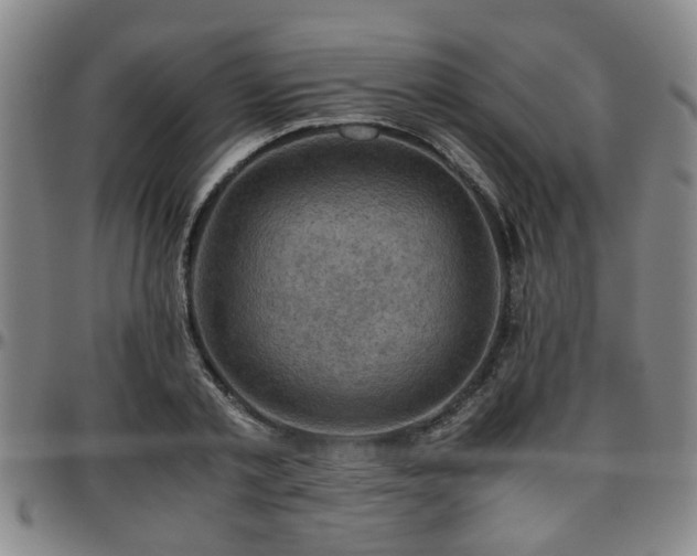 X0000096440789200801311428