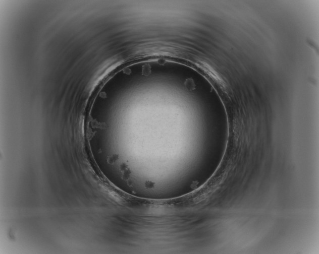 X0000096440790200801311428