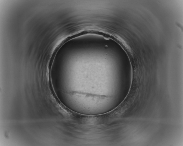 X0000096440791200801311428