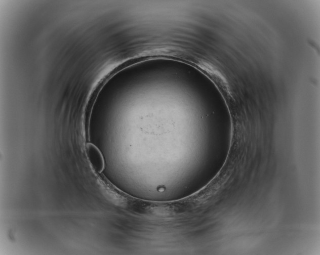 X0000096440792200801311428