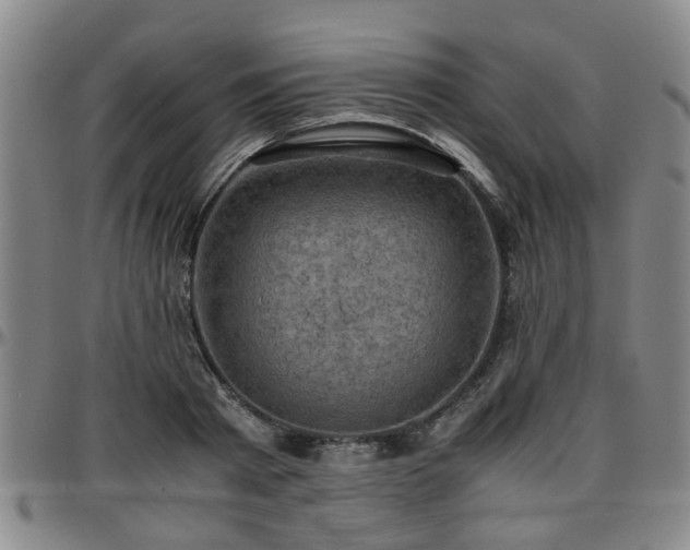 X0000096440793200801311428