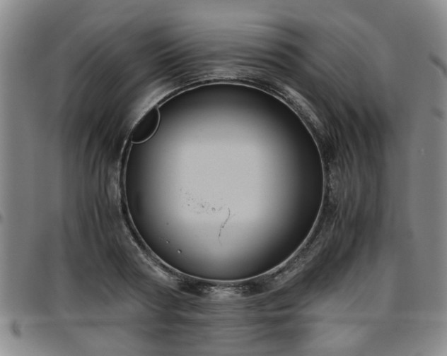 X0000096440794200801311428