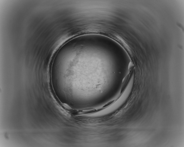 X0000096440795200801311428