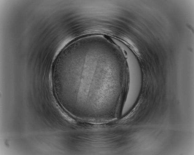 X0000096440796200801311427