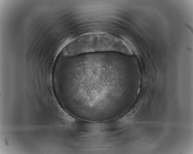 X0000096440797200801311427