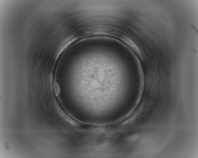 X0000096440798200801311427