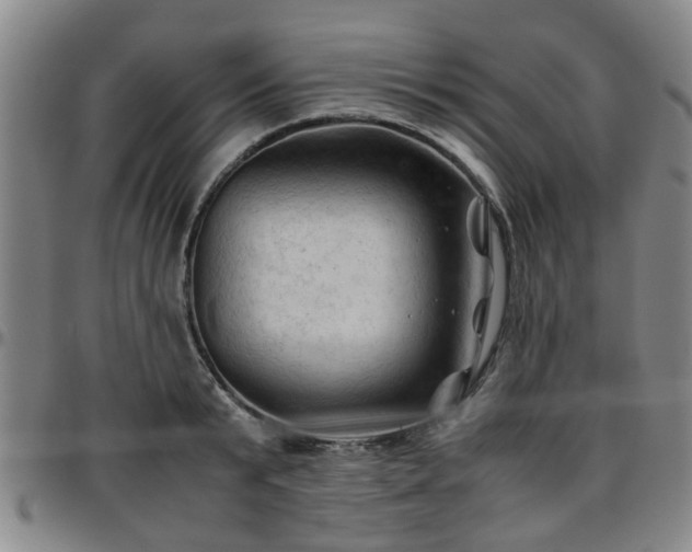 X0000096440799200801311427