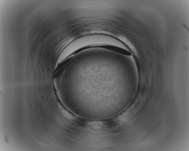 X0000096440801200801311427