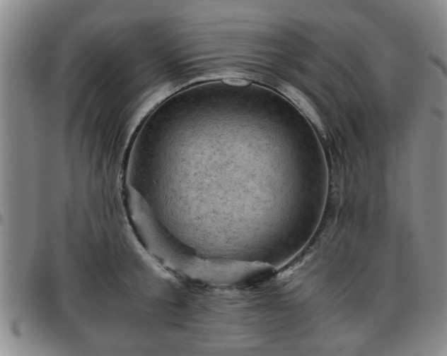 X0000096440805200801311427