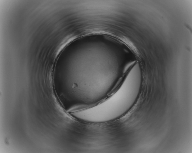 X0000096440806200801311427