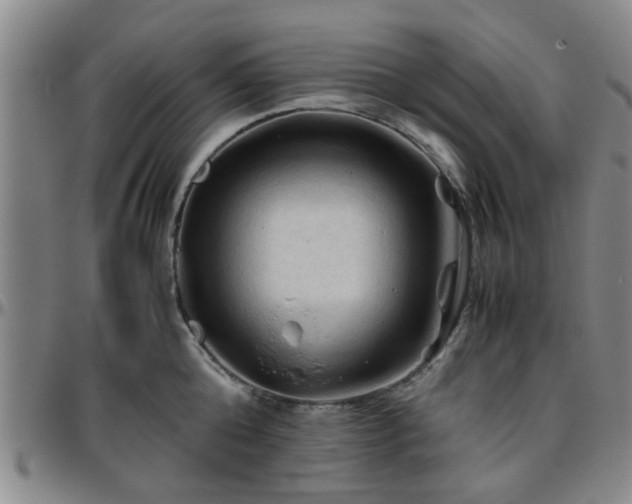 X0000096440808200801311427