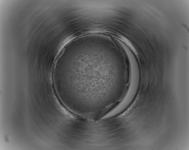 X0000096440810200801311427