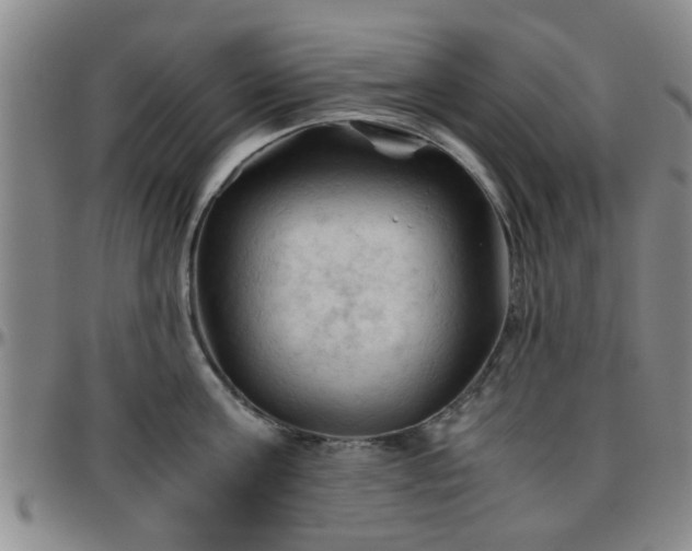 X0000096440811200801311427