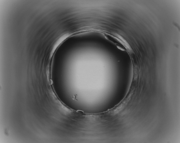 X0000096440812200801311427