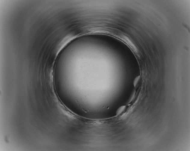 X0000096440814200801311427