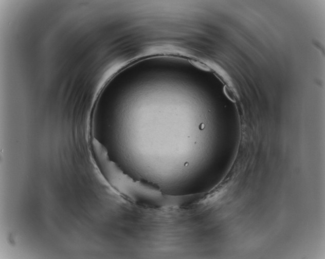 X0000096440815200801311427