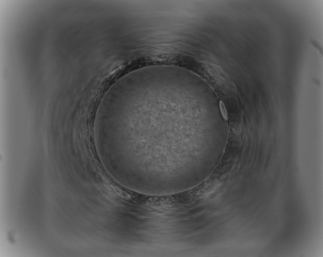 X0000096440817200801311427