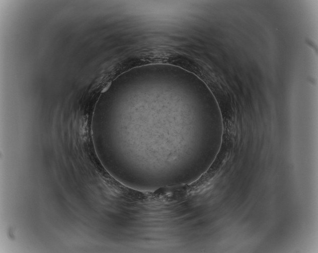 X0000096440818200801311427