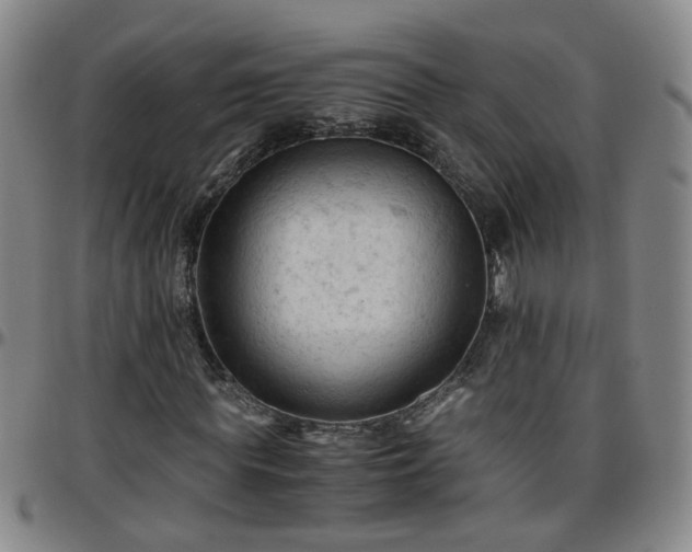 X0000096440819200801311427